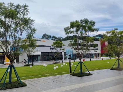 省紡織廠宿舍居住體驗全解析 優(yōu)勢、不足、物管與周邊中介評價